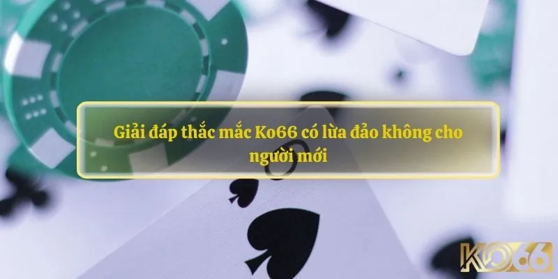 KO66 có lừa đảo không